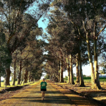 meditation Centre perth